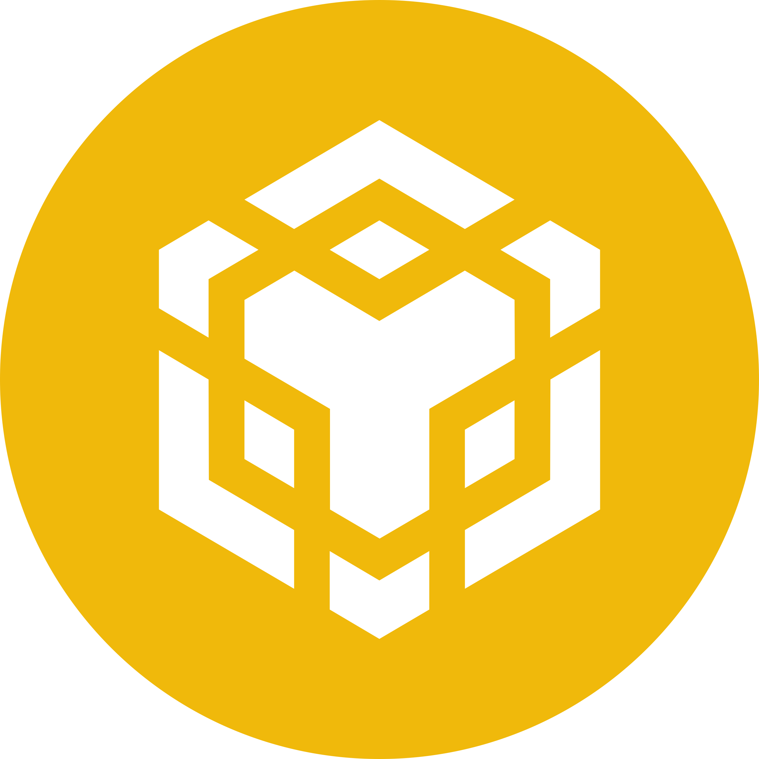 Network Logo